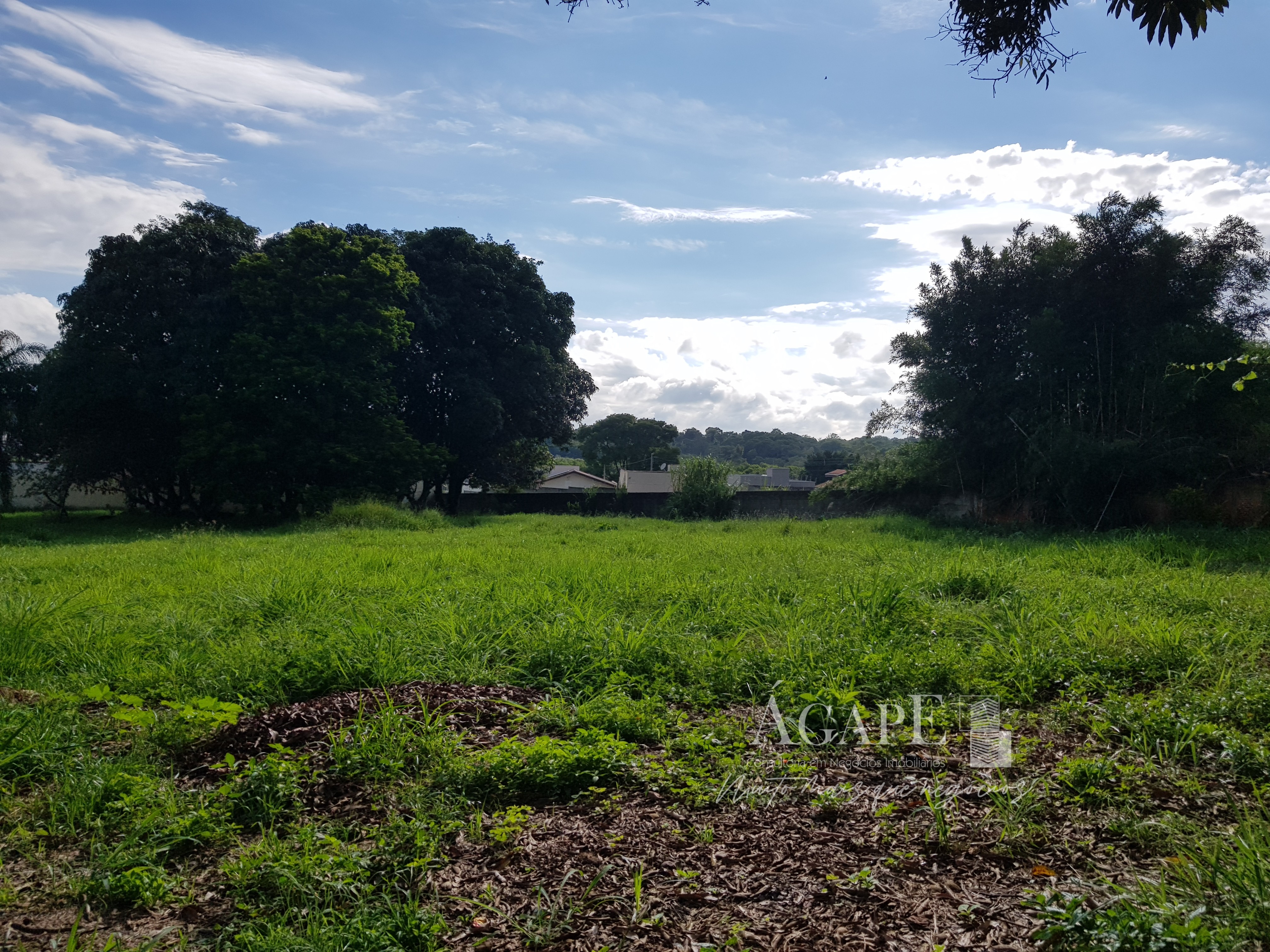 Chácara em Mogi Mirim