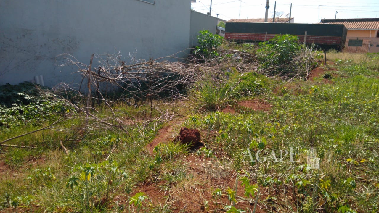 Terreno em Artur  Nogueira